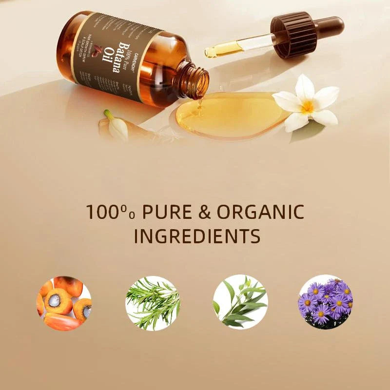Findglee CARVENCHY Batana Oil with Rosemary Oil for Stronger, Healthier Hair
