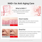Findglee NAD+ EGF Korean Skincare Firming Serum with Collagen & Peptides for Fine Lines and Elasticity