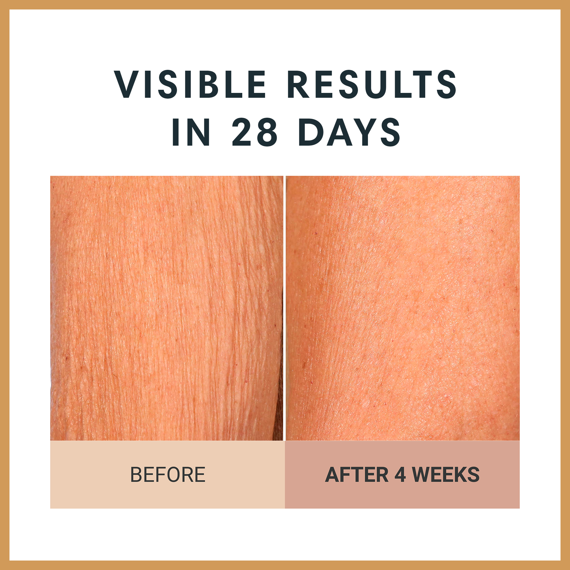 Findglee Champagne Firming Body Cream — Luxe-Lift Complex & Pink Pepperslim Firming Formula