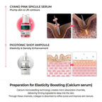 Findglee Collagen Boost Skincare Set with Calcium, Hyaluronic Acid & Elastin for Wrinkles and Lifting