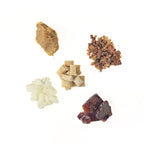 Findglee Underbrush Remineralizing Chewing Gum with Nano-Hydroxyapatite